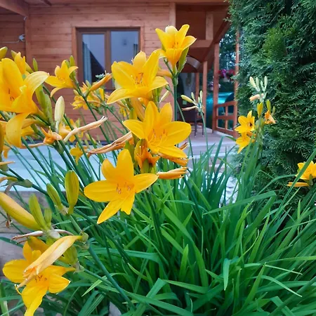 Forest Edge Semesterbostad