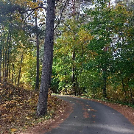 Forest Edge Riga