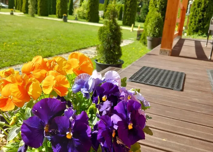 Forest Edge Holiday home Riga