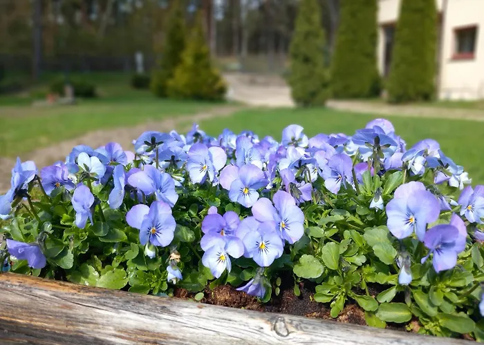 Holiday home Forest Edge *