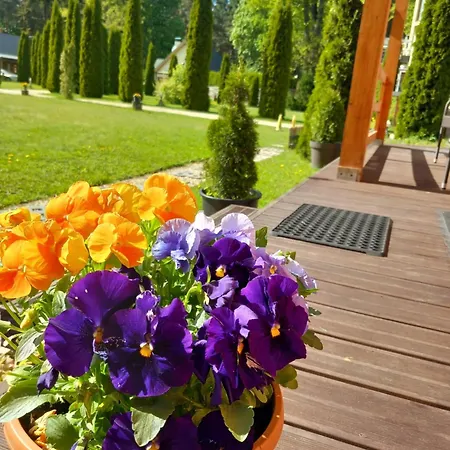 Forest Edge Дом отдыха Рига