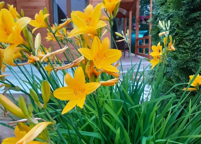 Forest Edge 度假居